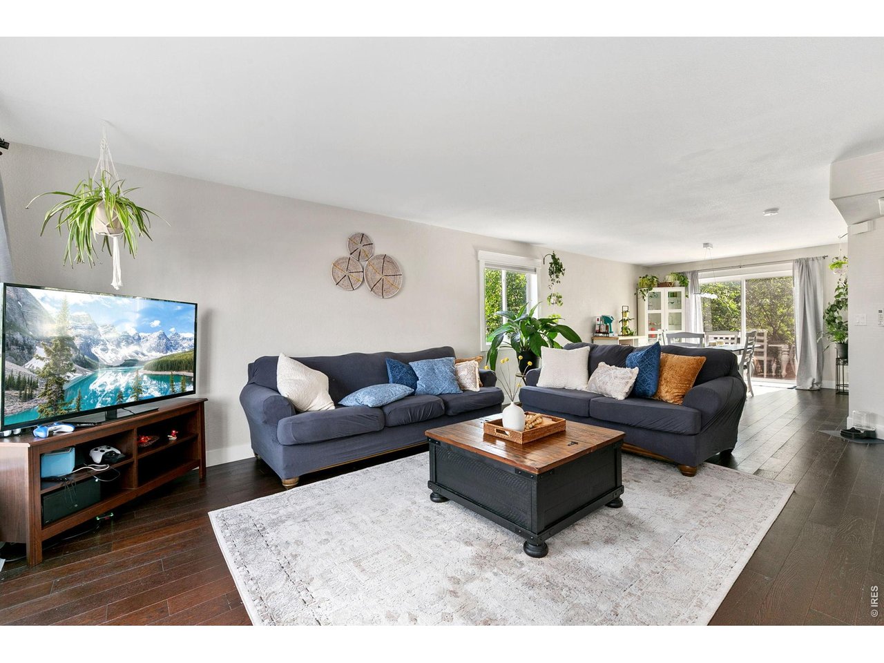 Open Living Room with lots of natural light