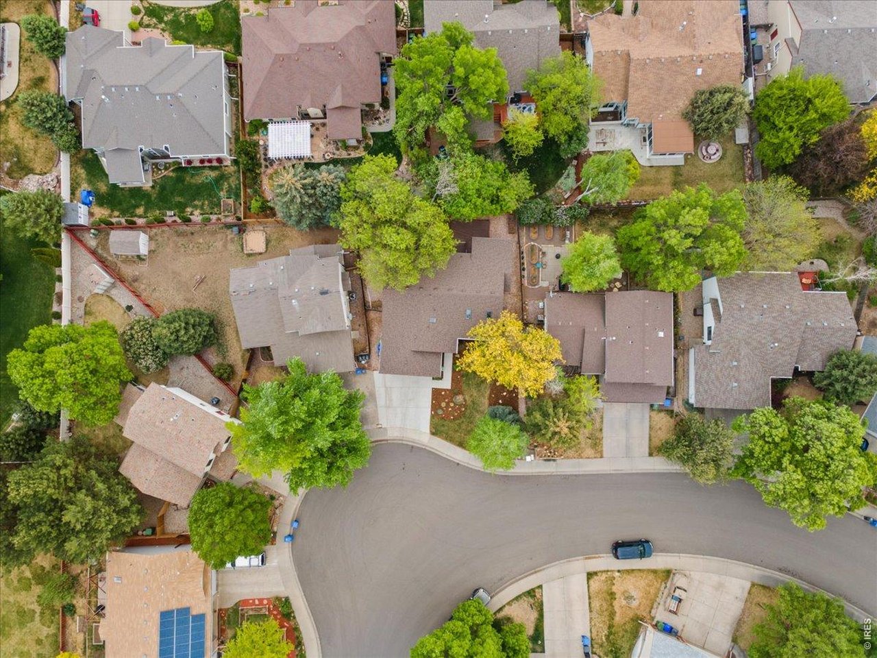 Huge mature lot!