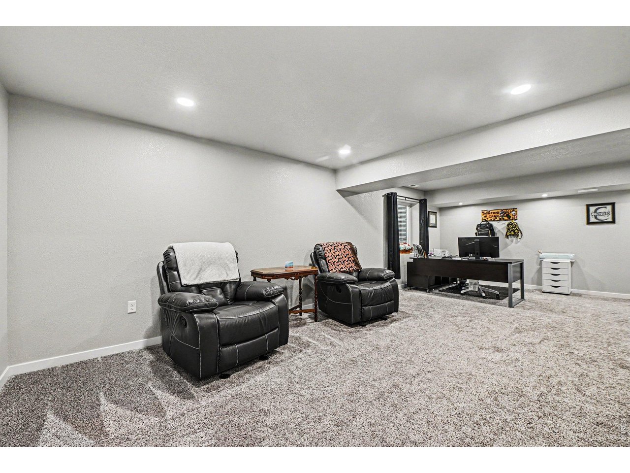 Basement Rec Area