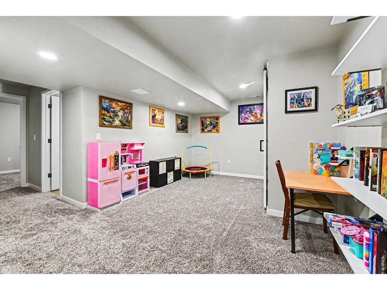 Basement Rec Area