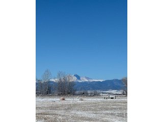15124 Mattana Dr Mead, CO 80542