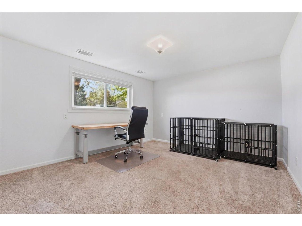 Flex Room/Office on the lower level