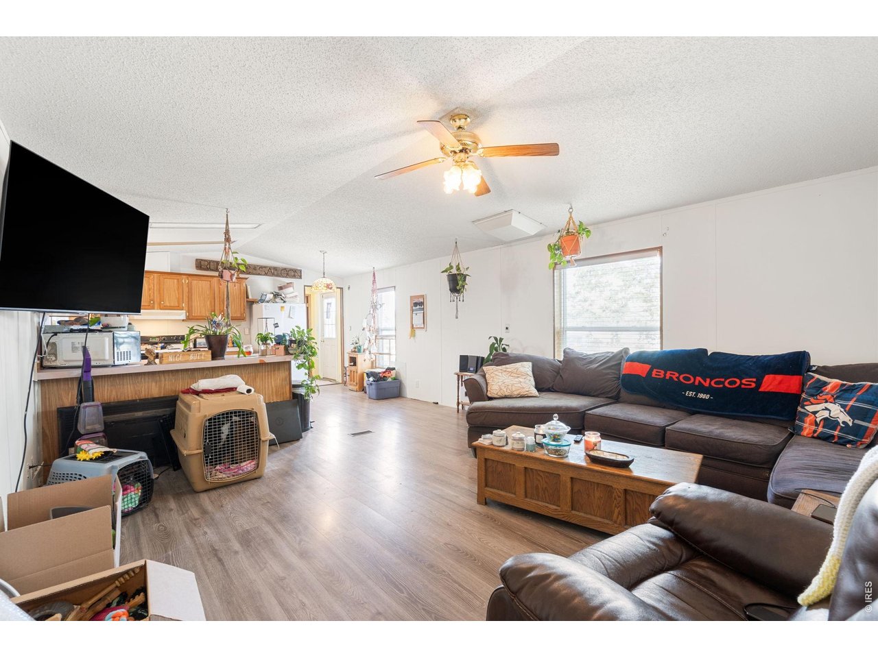 Fresh paint and open floor plan