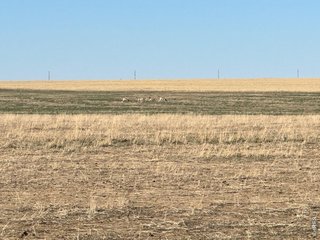 100 4 Rd Arlington, CO 81021