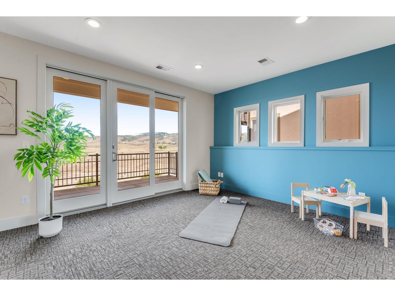High Traffic Plush Carpet, triple slider out to paradise! 