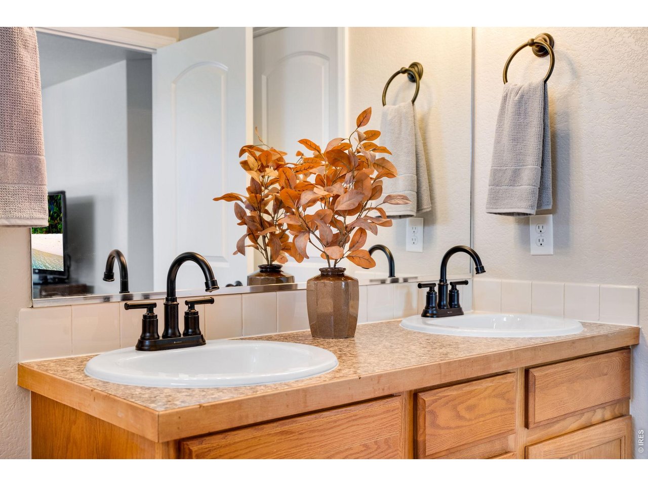 Primary Vanity area