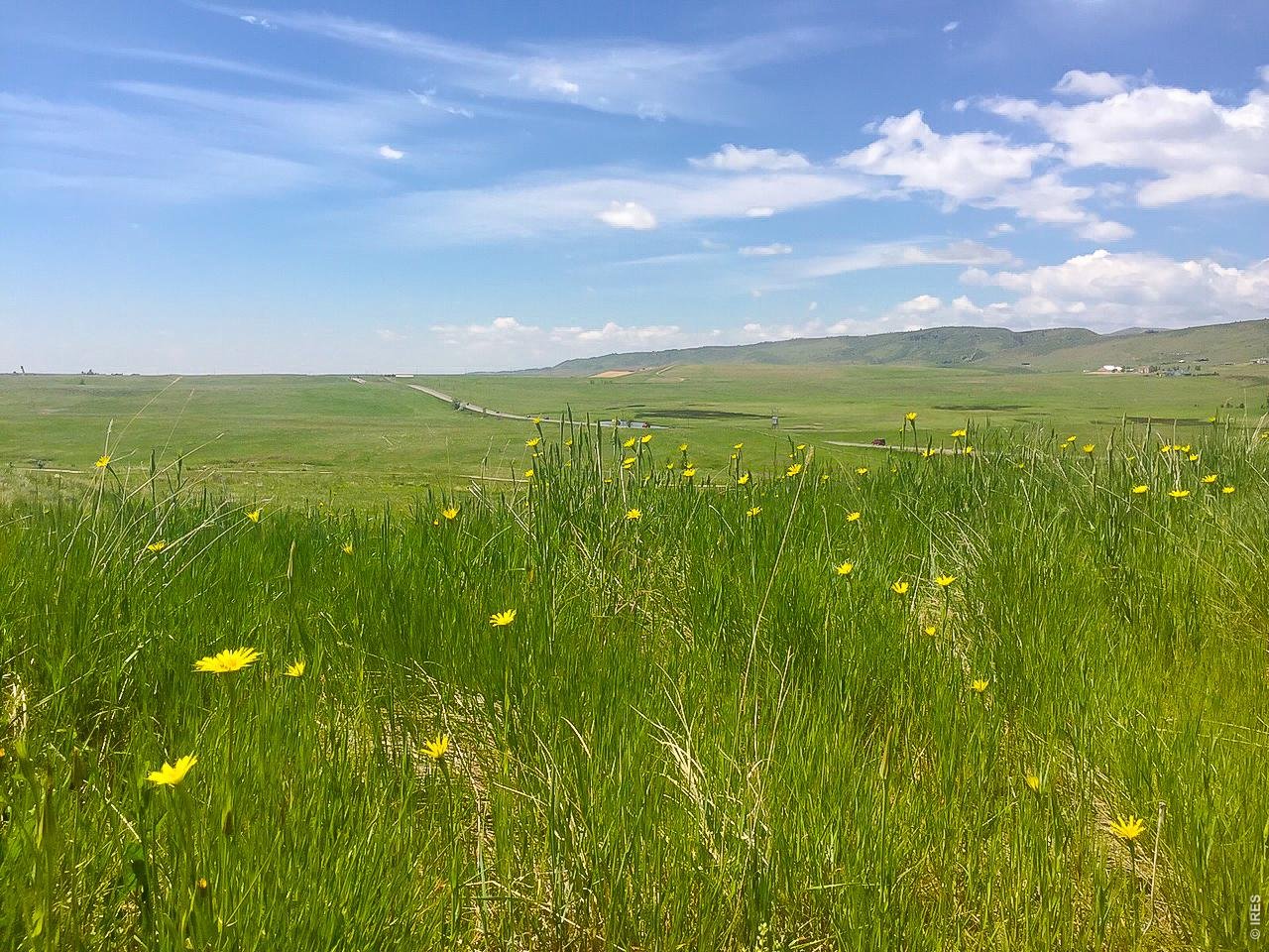 The Cathy Fromme Prairie, different times of the year = a sanctuary setting. 