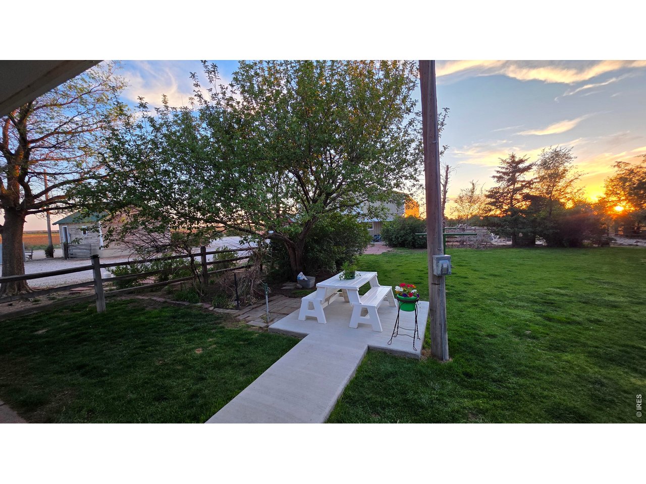 Apple tree and patio