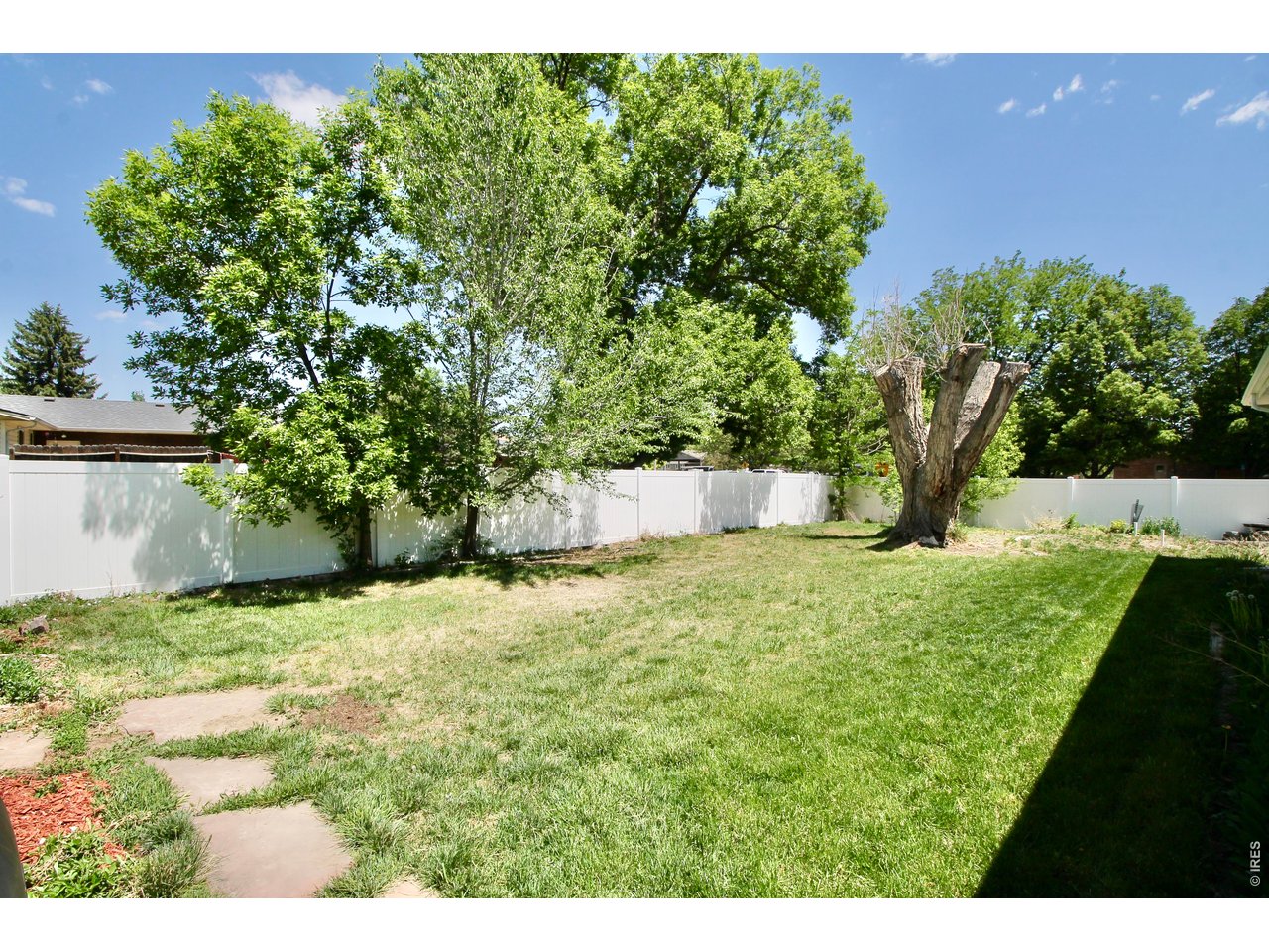 Spacious Backyard