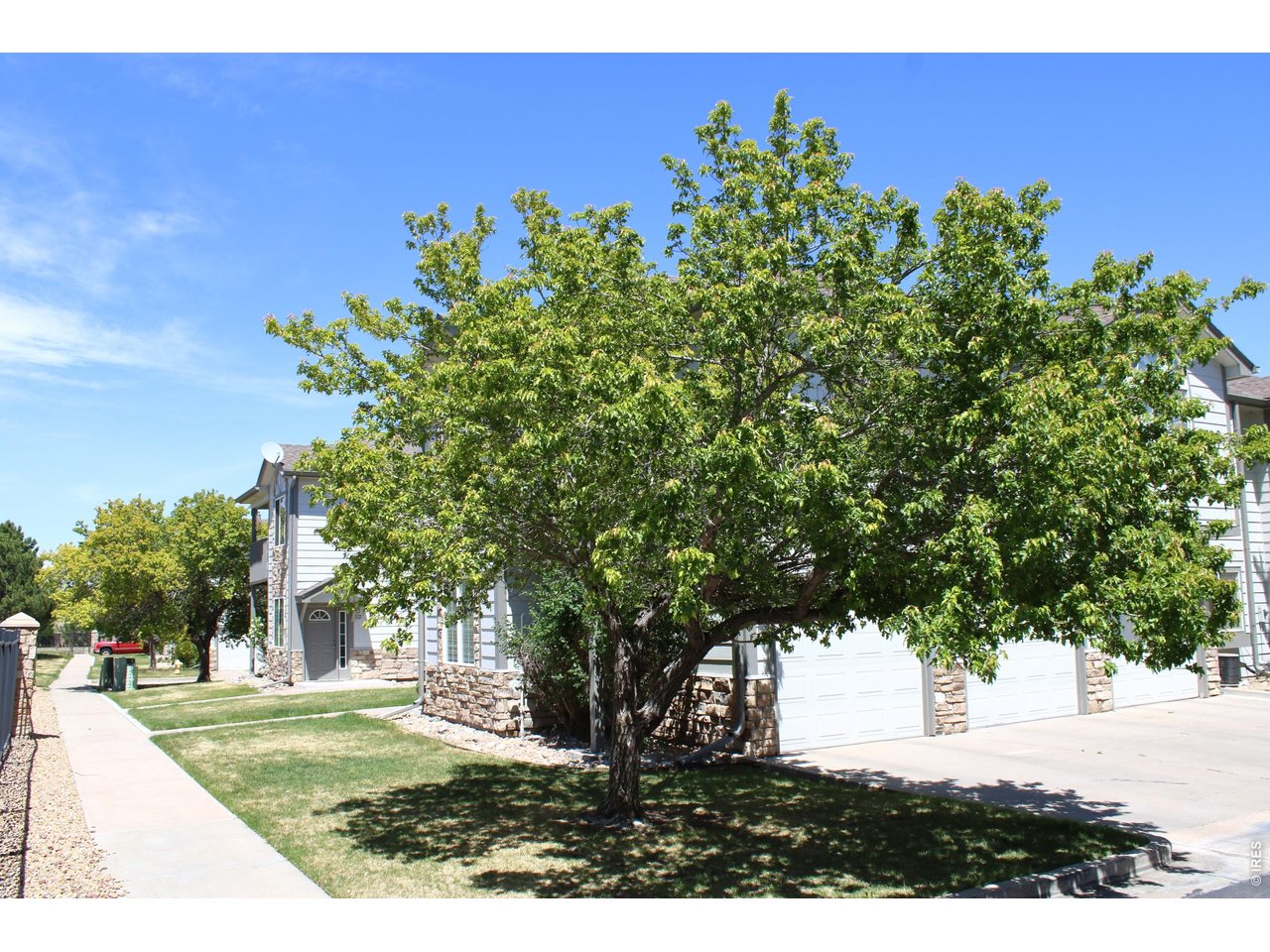 Nice mature tree offers shade and privacy for the balcony.