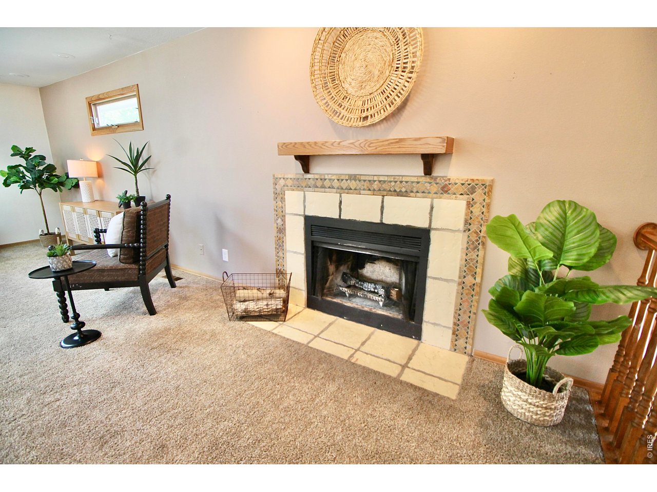 Wood Burning Fireplace
