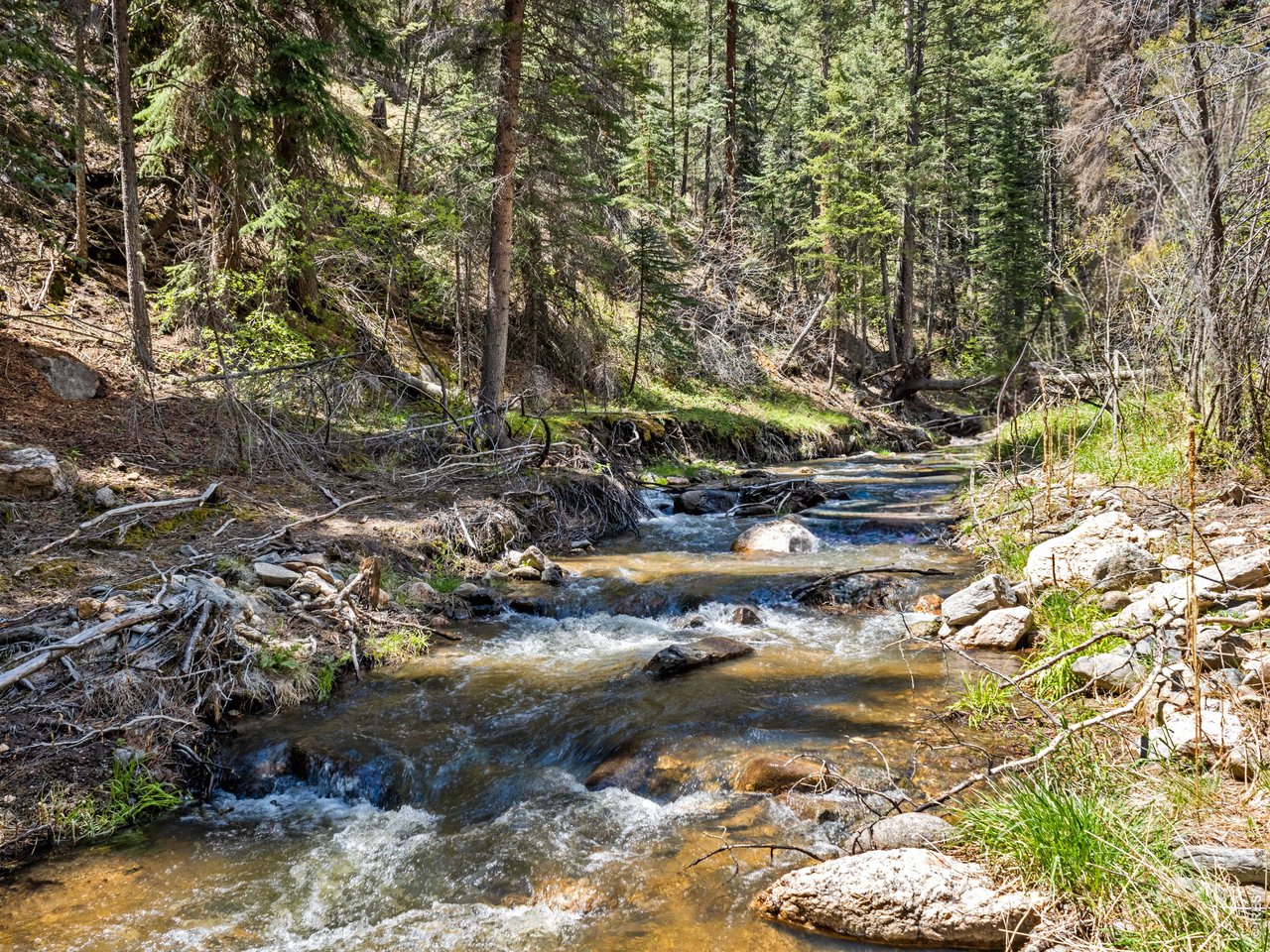 Beautiful Stream!