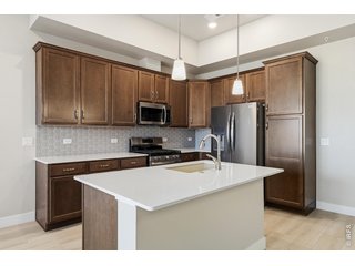6793 Maple Leaf Dr 202 Timnath, CO 80547