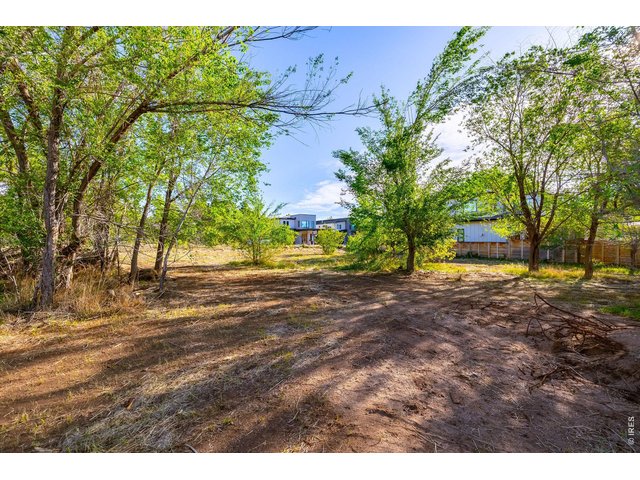 Property Photo 12 Spacious, level lot with mature trees.