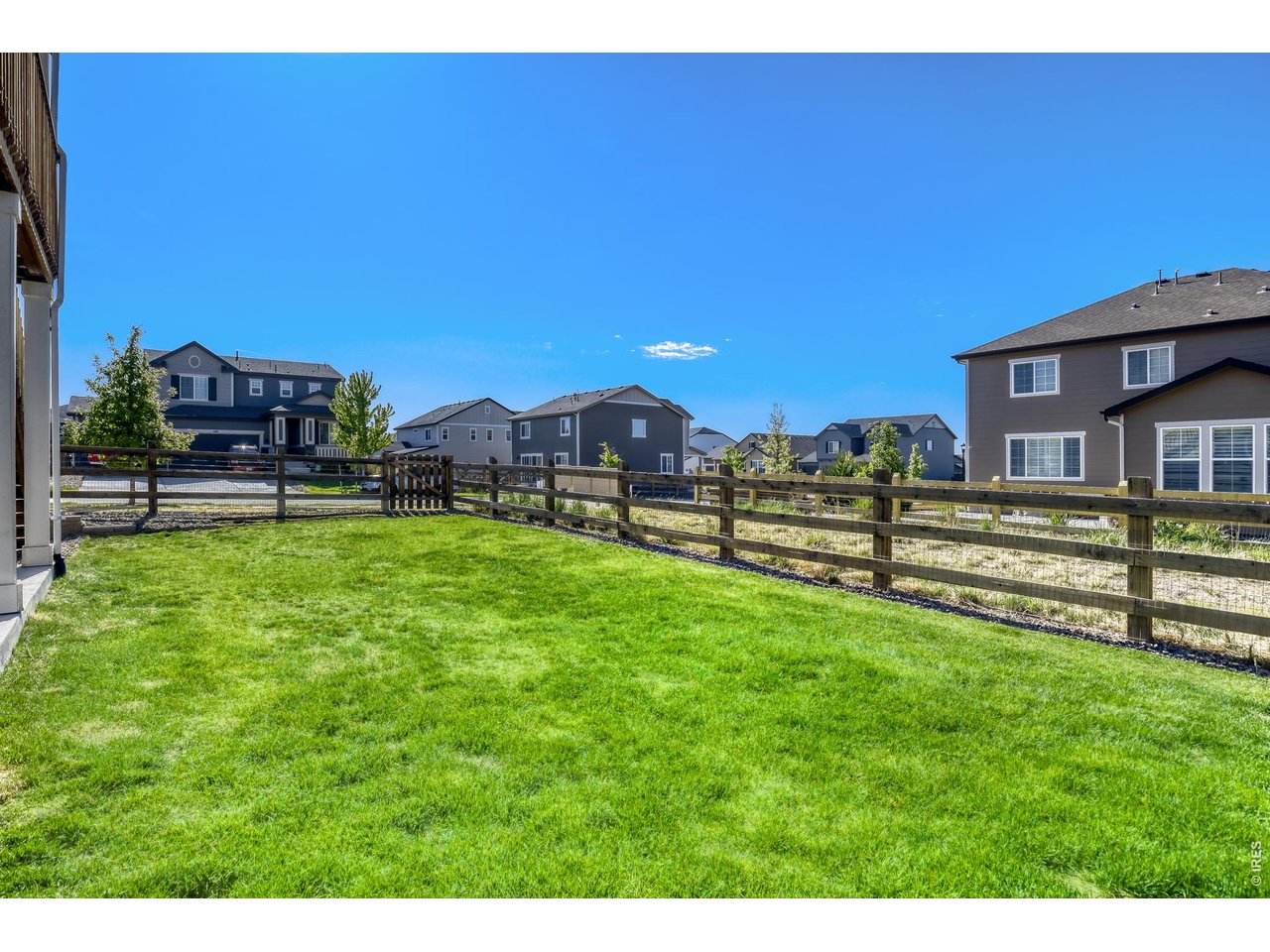 1055 Rubinette Ln - Backyard