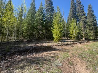 44 Wilderness Rd Walden, CO 80480