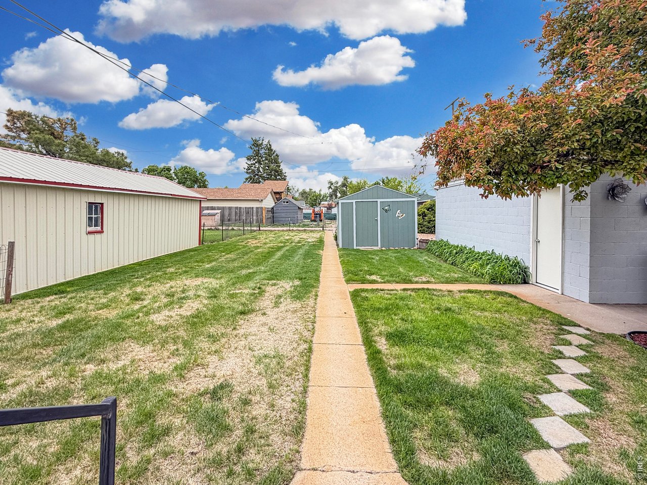 Back yard