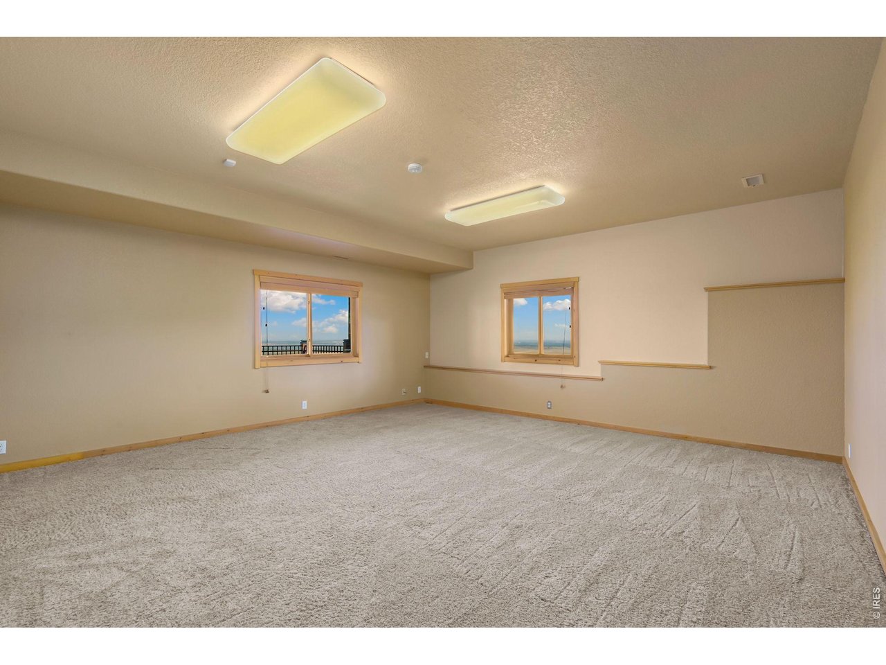 Basement level flex space! Workout room? More playroom or theatre room? 