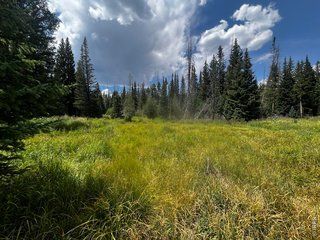 (No Address) Red Feather Lakes, CO 80545