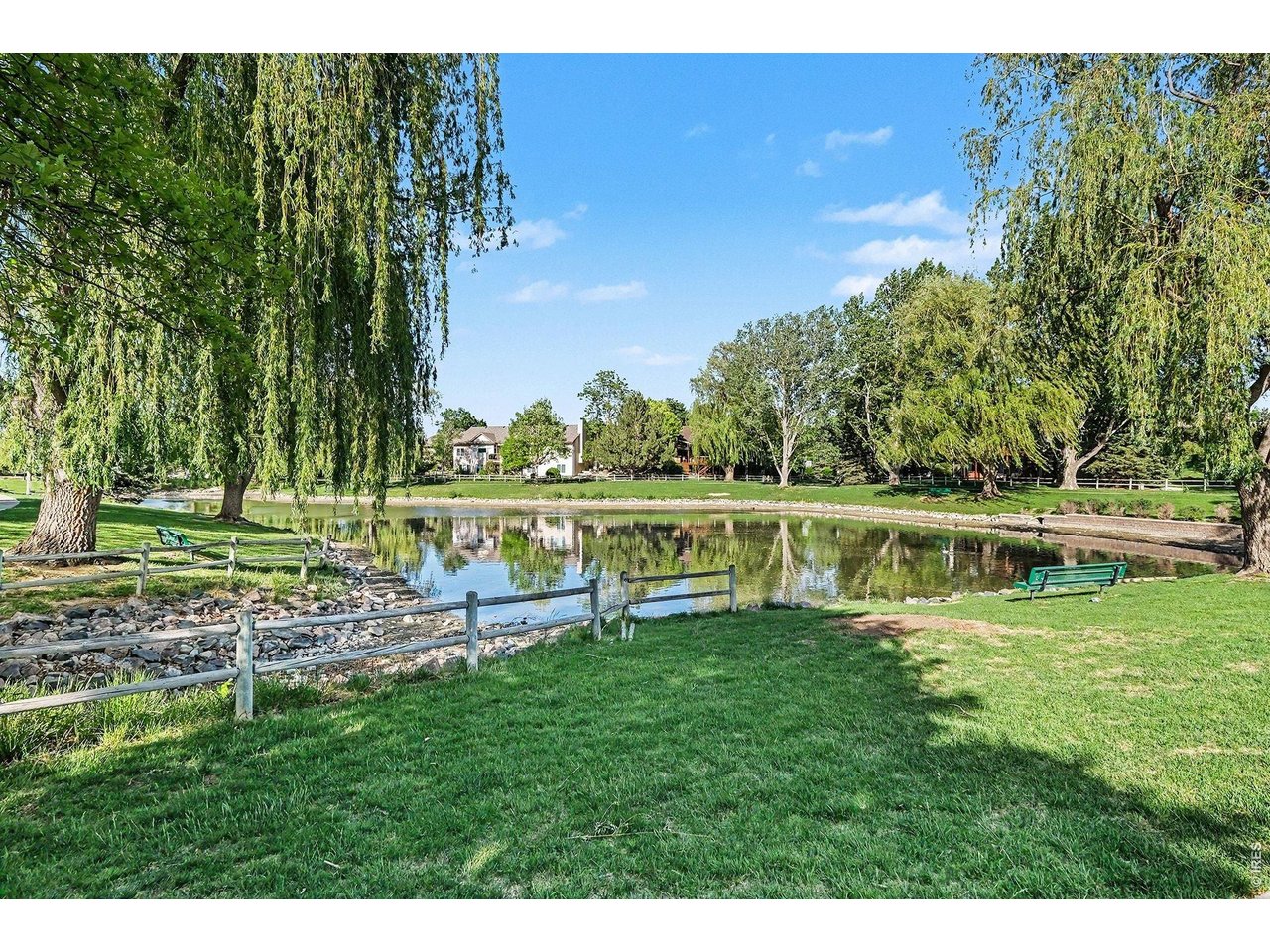 Neighborhood pond