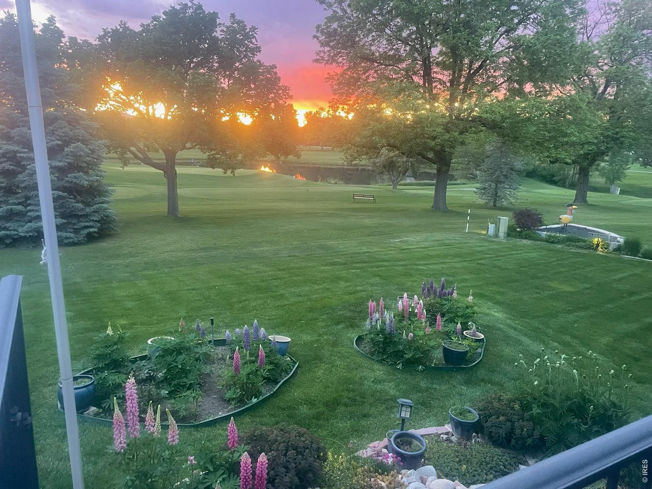 Sunset from your back patio