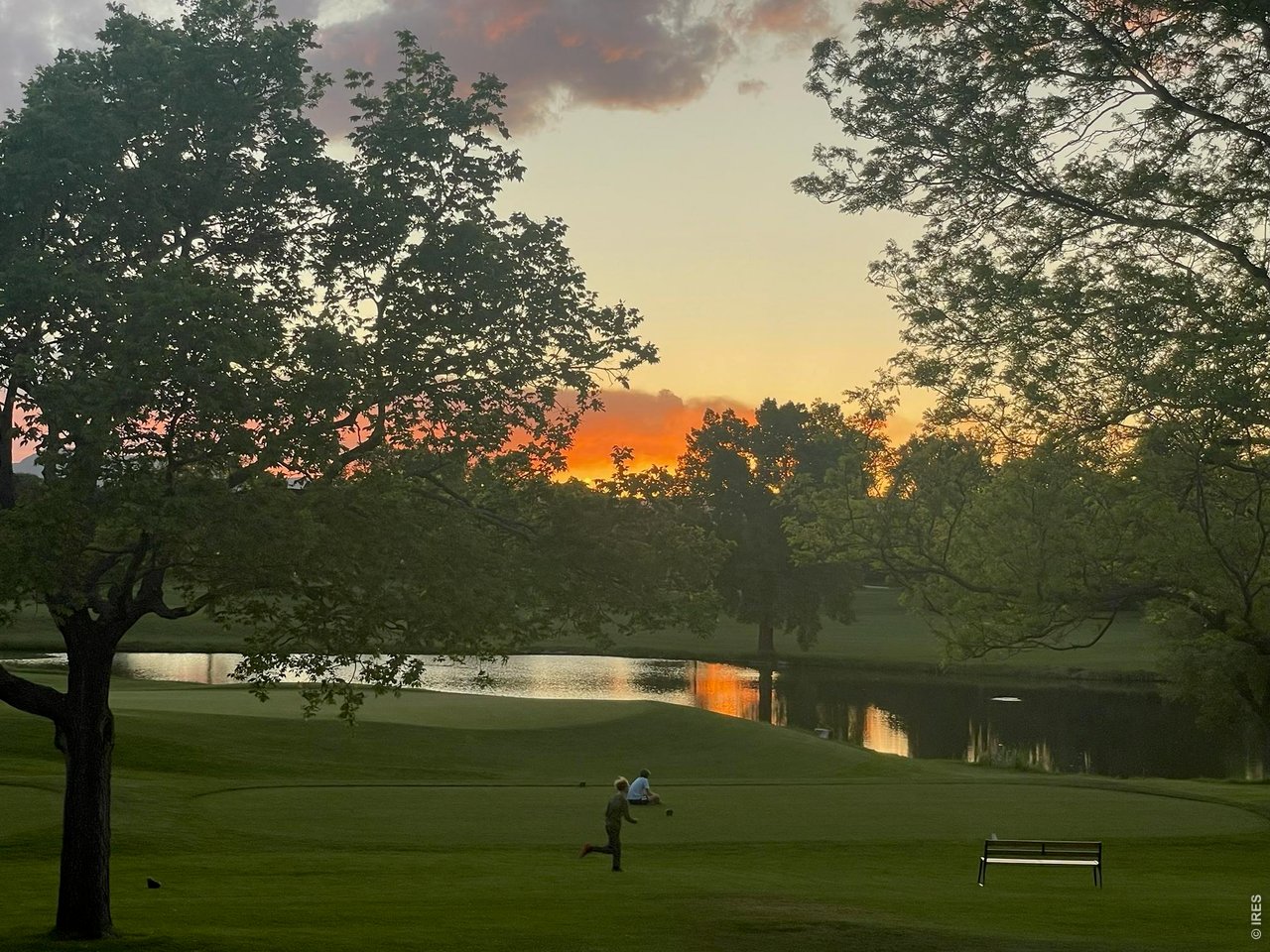 Sunset from your back patio