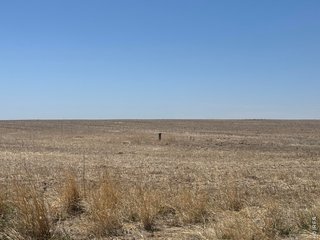 (TBD) County Road 16 Willard, CO 80741