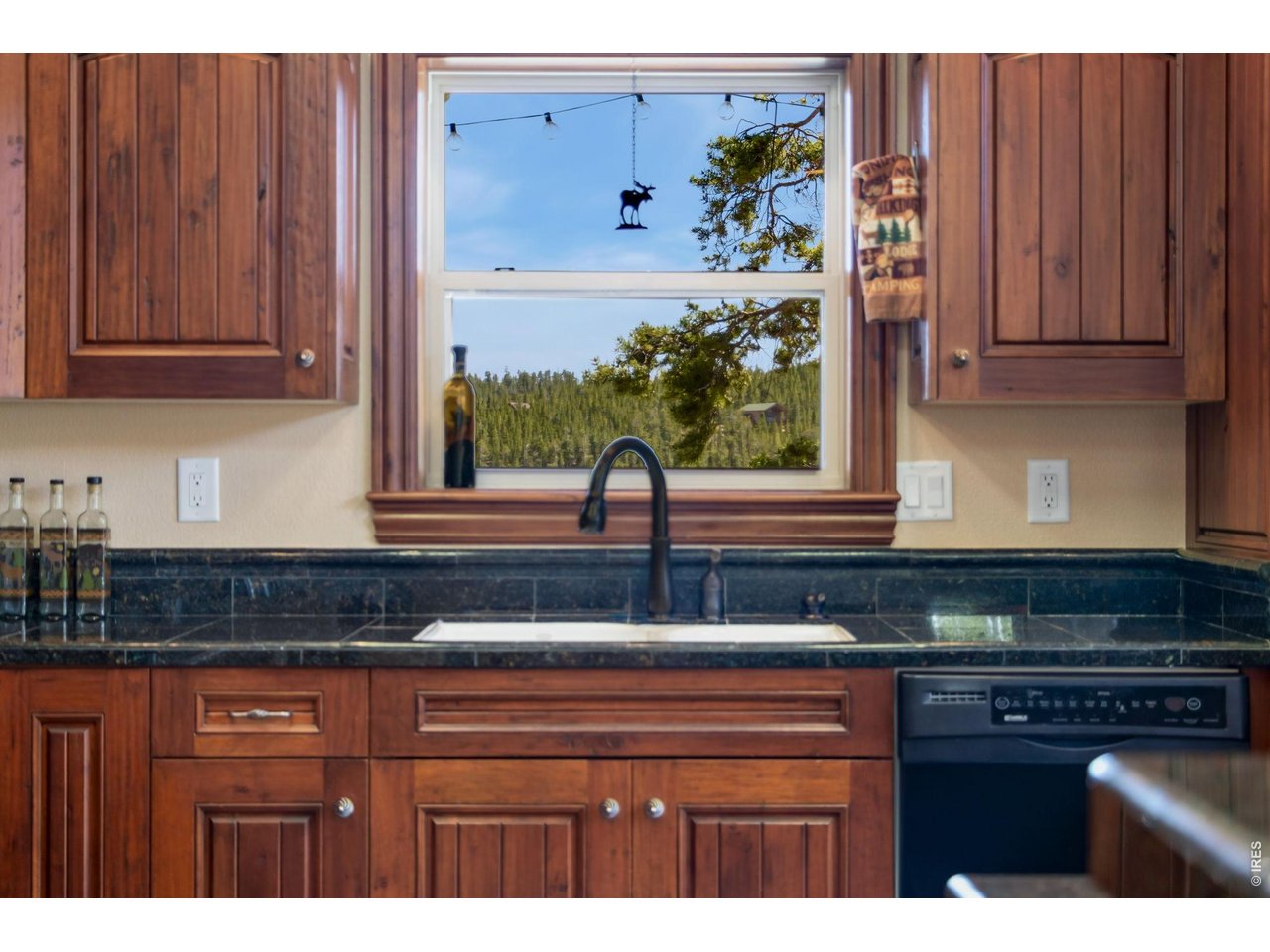 Views out to the deck, BBQ, picnic table, fire pit....and beyond