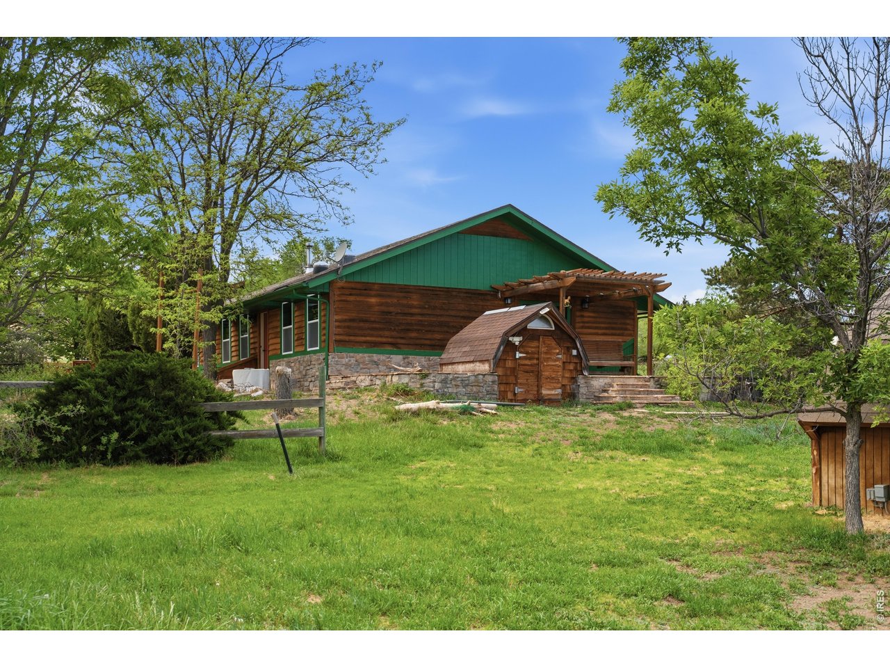 Backyard - has now been mowed and cleaned up! (new photo soon)