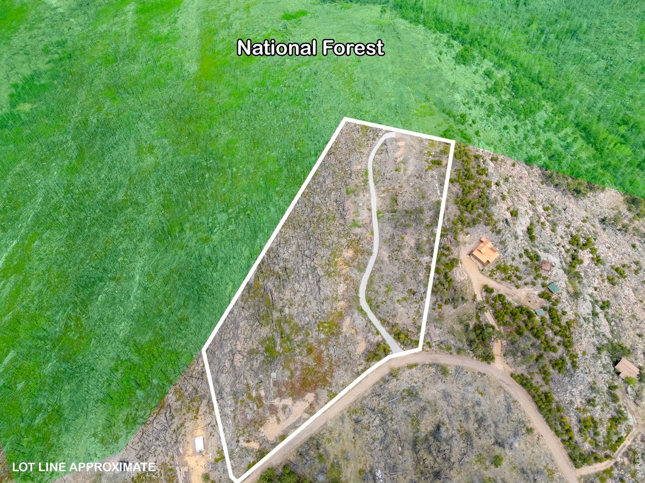 The property is bordered on two sides by Roosevelt National Forest!