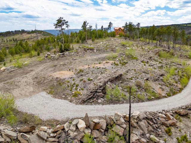 Property Photo 4 Driveway leads to the best location for building or just use it as a base camp for recreational use!