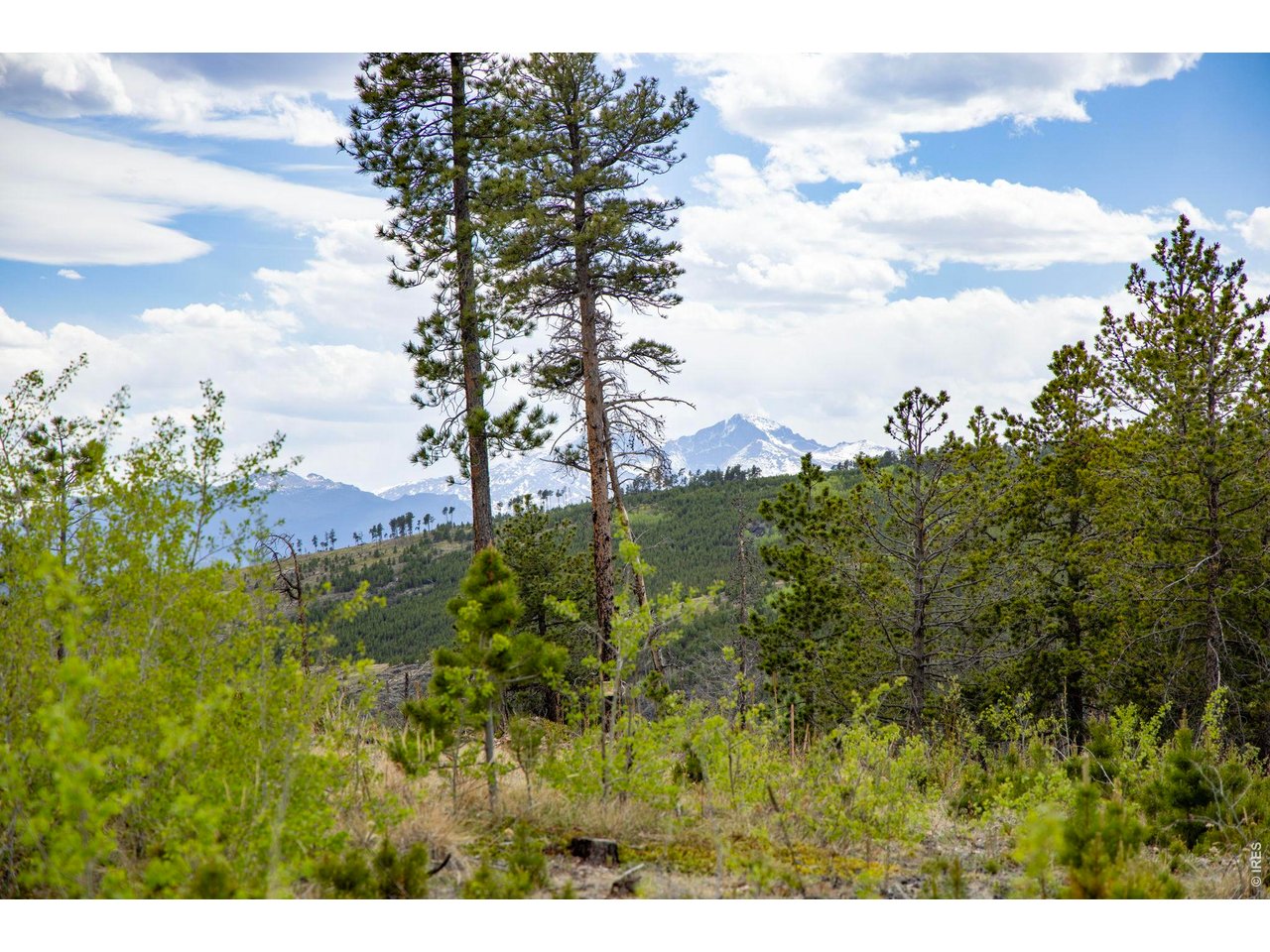 Peek-a-boo views of Longs and Meeker. 