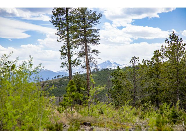 Property Photo 10 Peek-a-boo views of Longs and Meeker. 