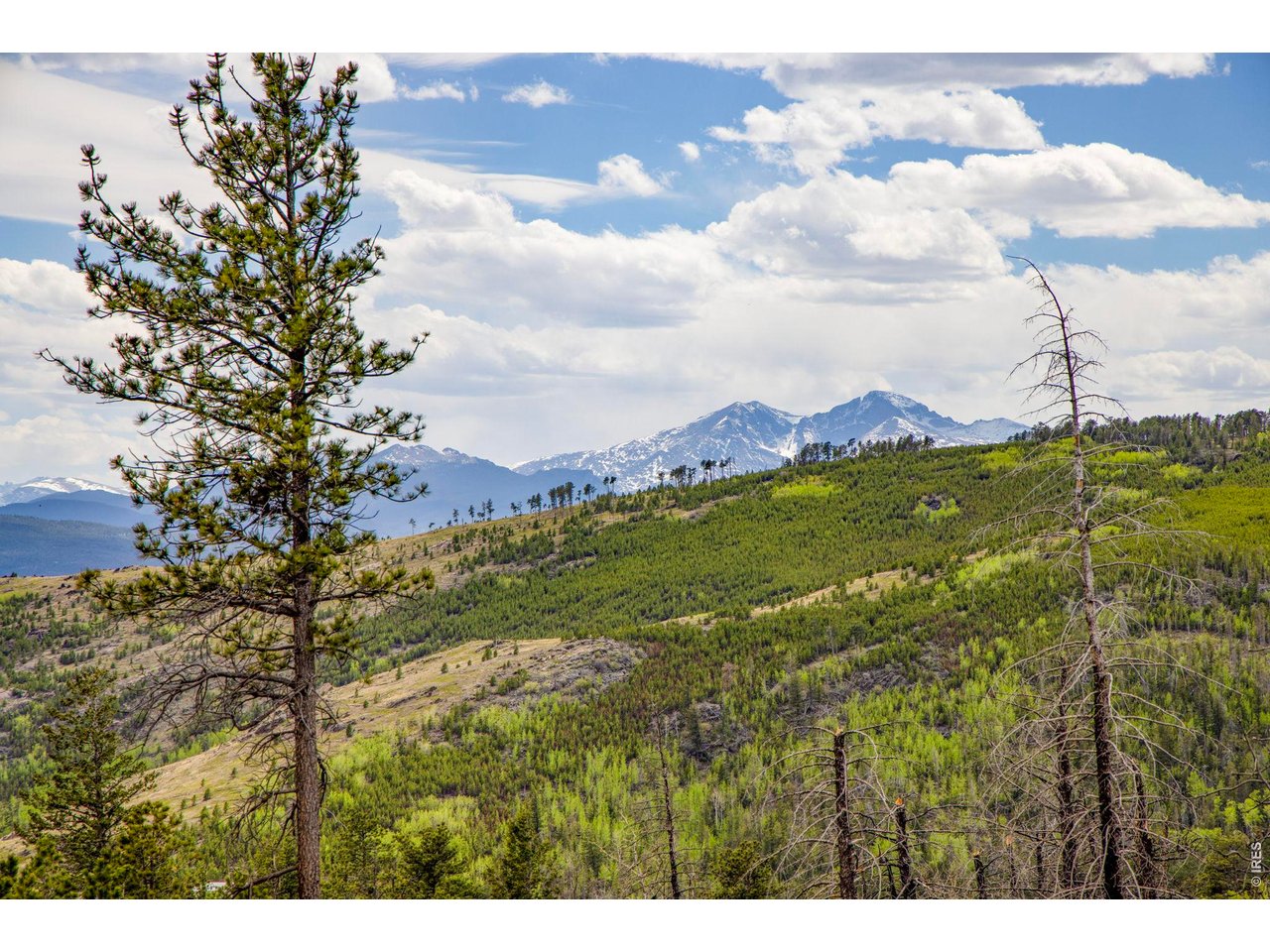 Enjoy views of the snow capped peaks in Rocky Mountain National Park!