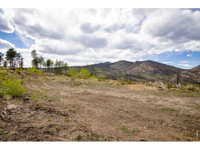 Property Photo 17 Use the property for recreation while your plan to building your dream home or cabin here!
