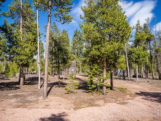 297 Manso Way Red Feather Lakes, CO 80545