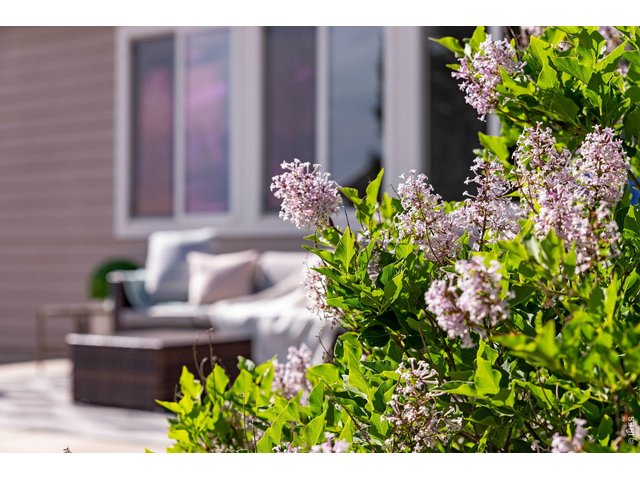 Property Photo 10 Lilacs abound, beautiful perennials all around. 