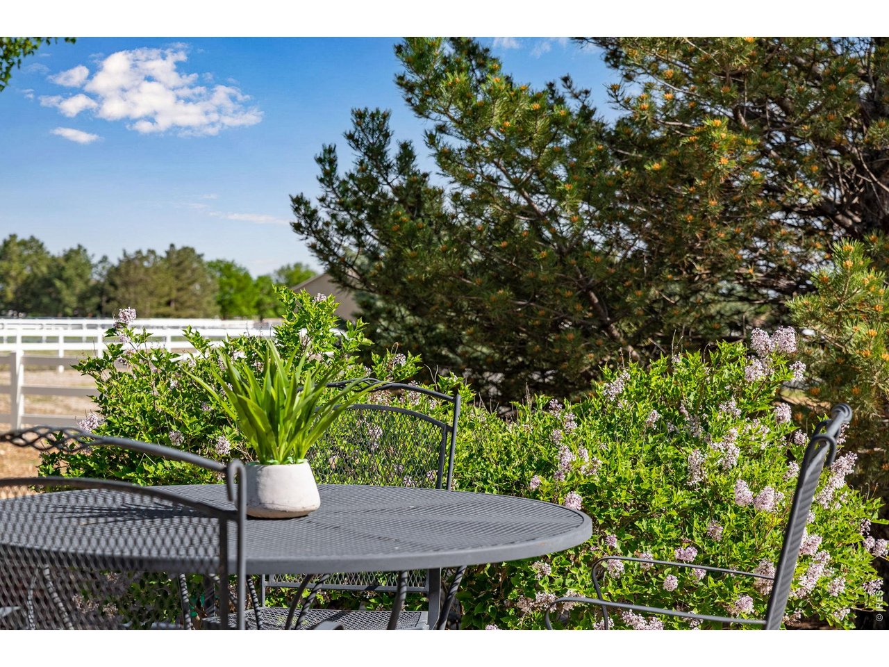South side garden area! 
