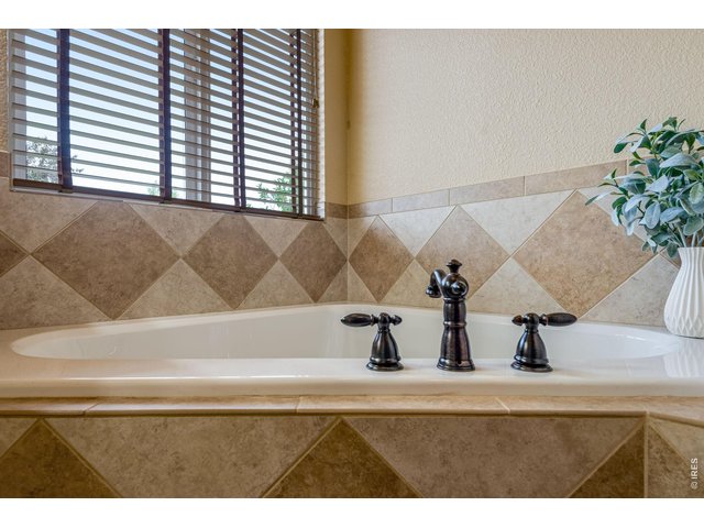 Property Photo 38 Primary Garden tub