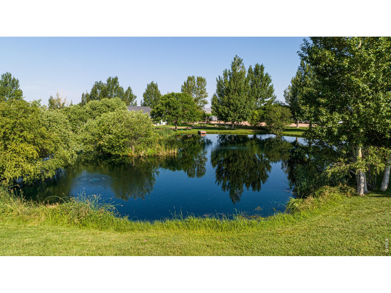 Stocked pond with bass. Paddle board, kayak, fish or relax