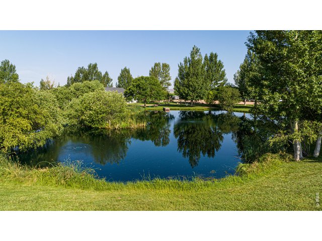 Property Photo 5 Stocked pond with bass. Paddle board, kayak, fish or relax