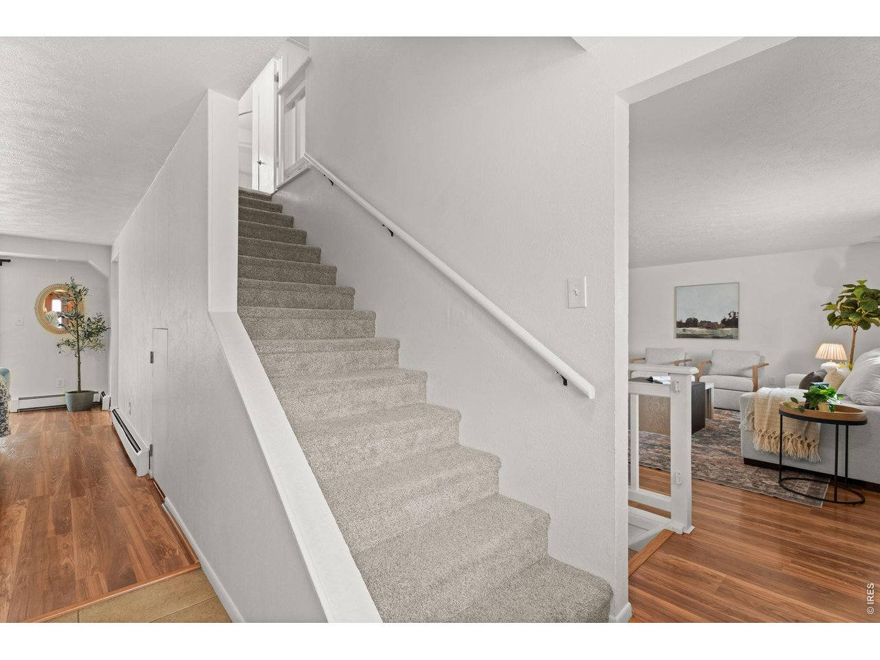 This home offers a rare opportunity for multi-generational living or rental income