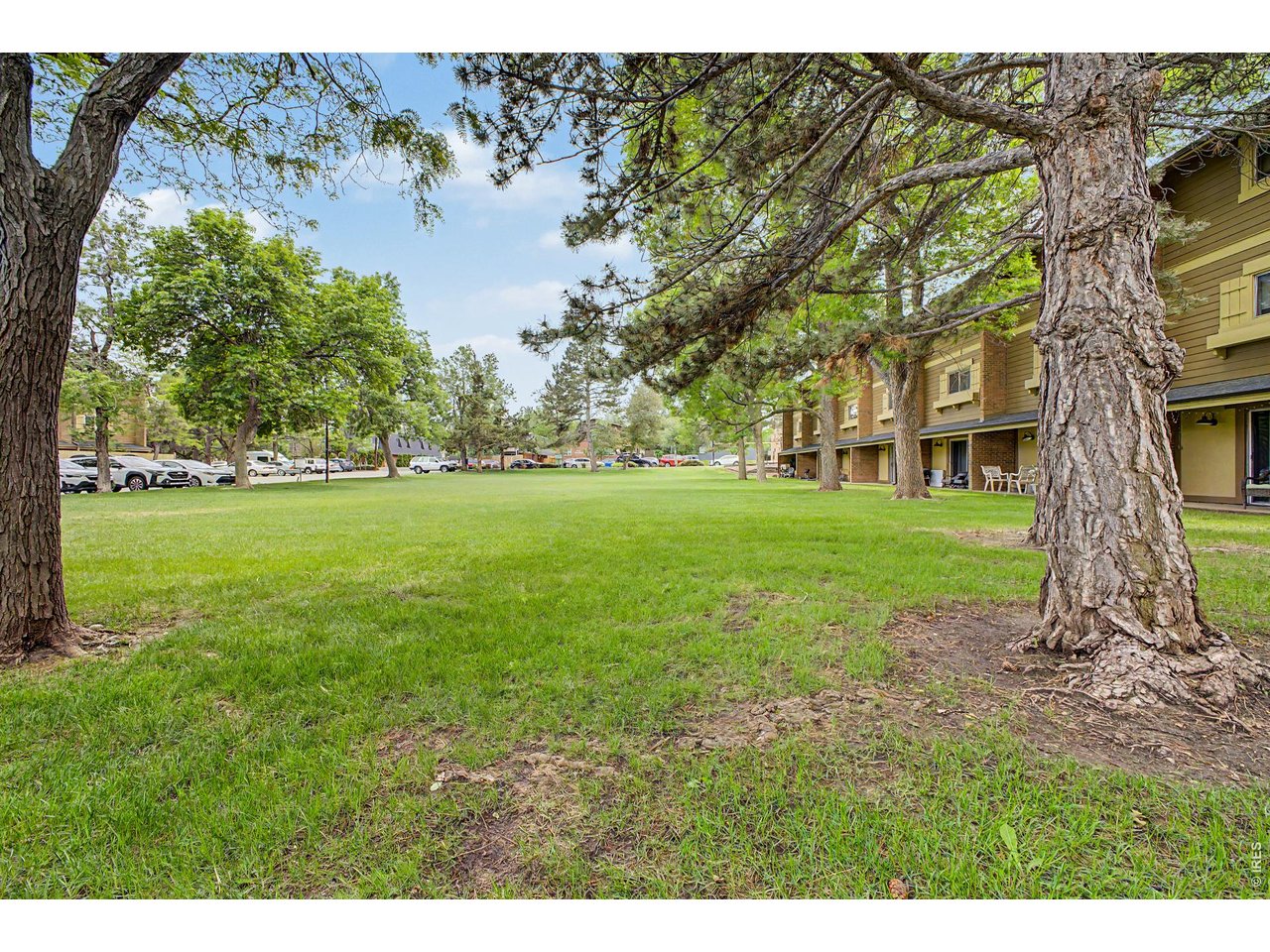Community Park Space 