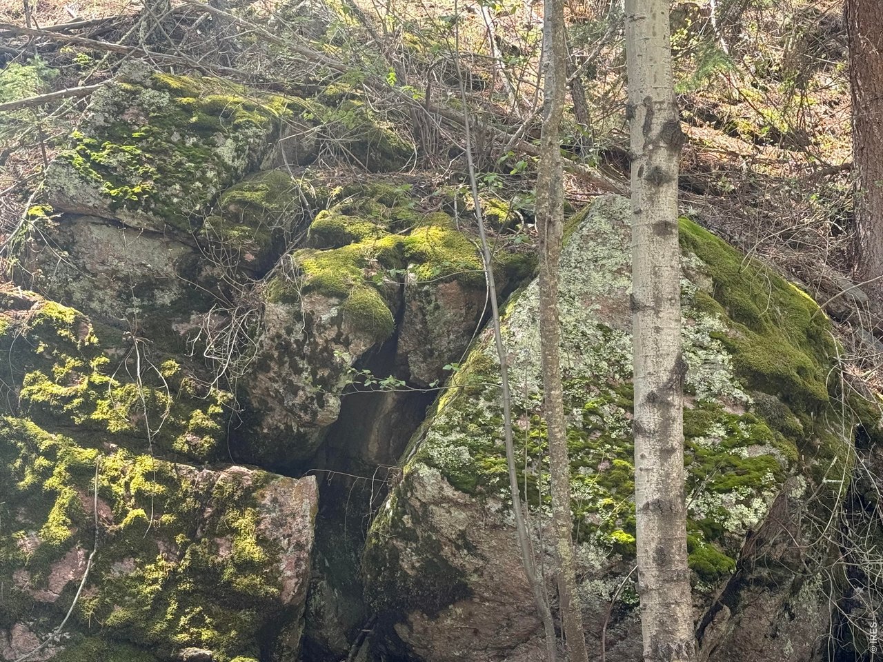 Cool Moss-Covered Boulders