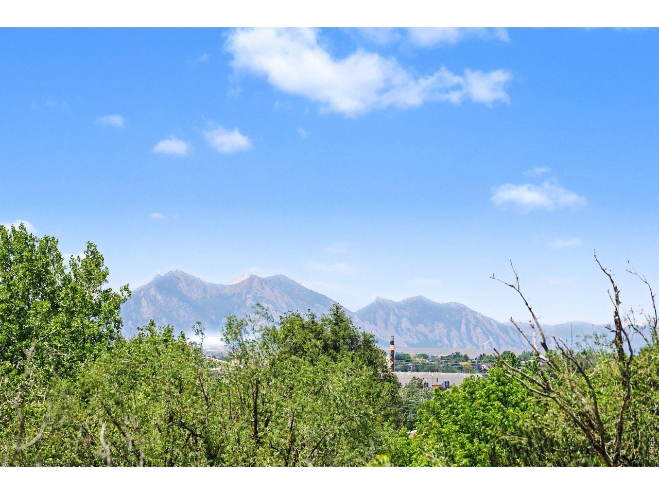 Unobstructed views of the majestic Rocky Mountain foothills right from your window, framed beautifully by mature trees and clear Colorado skies.