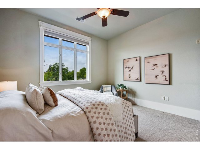 Property Photo 39 South and Southwest sunlight! 