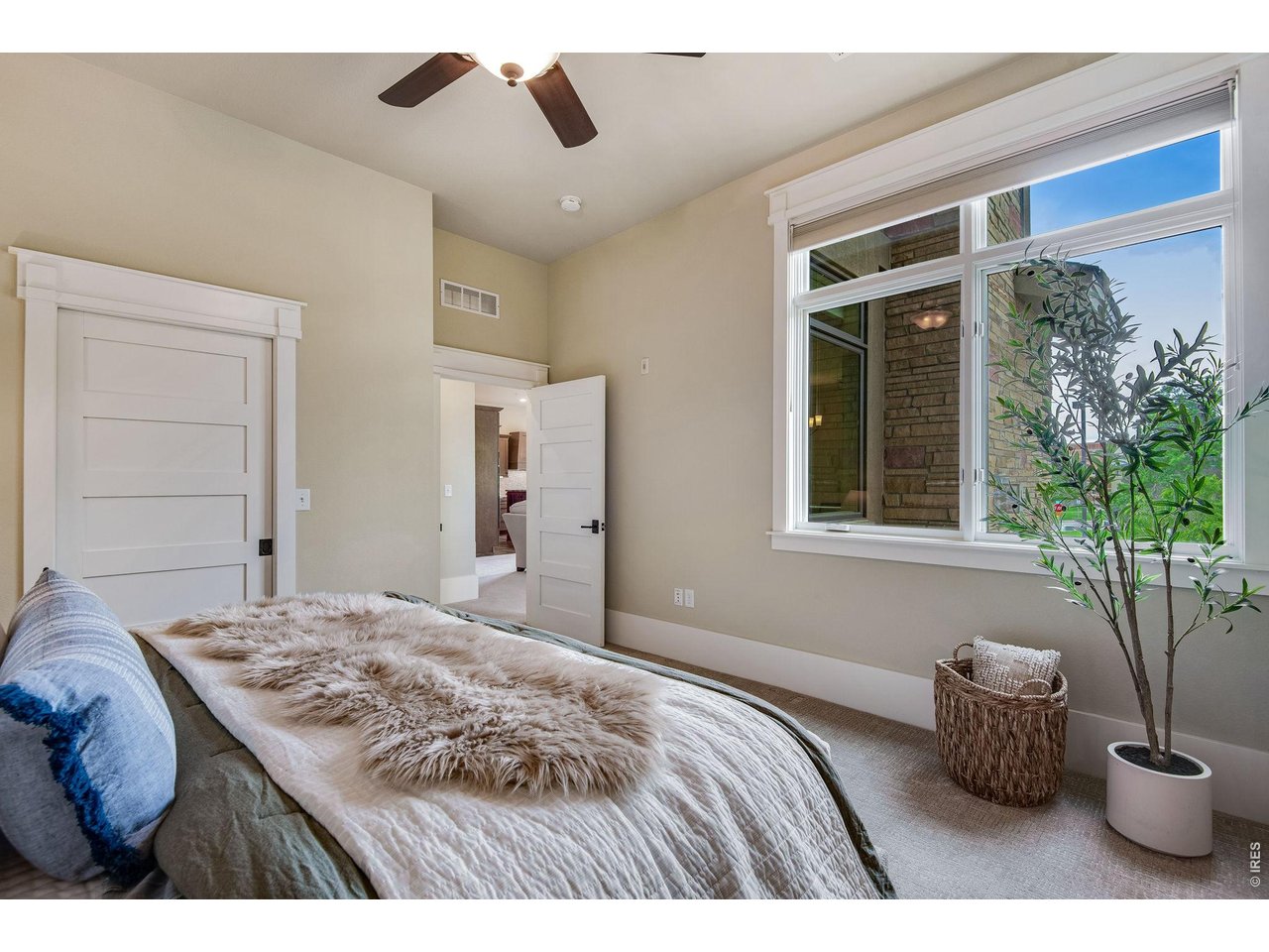 Secondary Suite! South facing sunlight! 