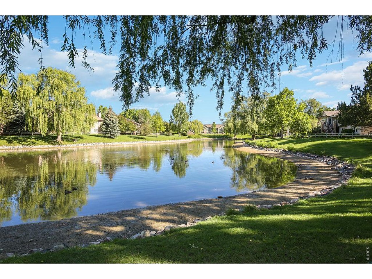 Willow Springs pond - walking paths and fishing!