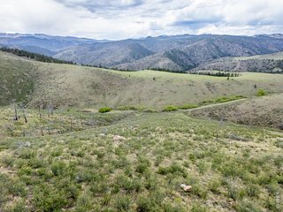 208 Little Bald Mountain Ct Livermore, CO 80536