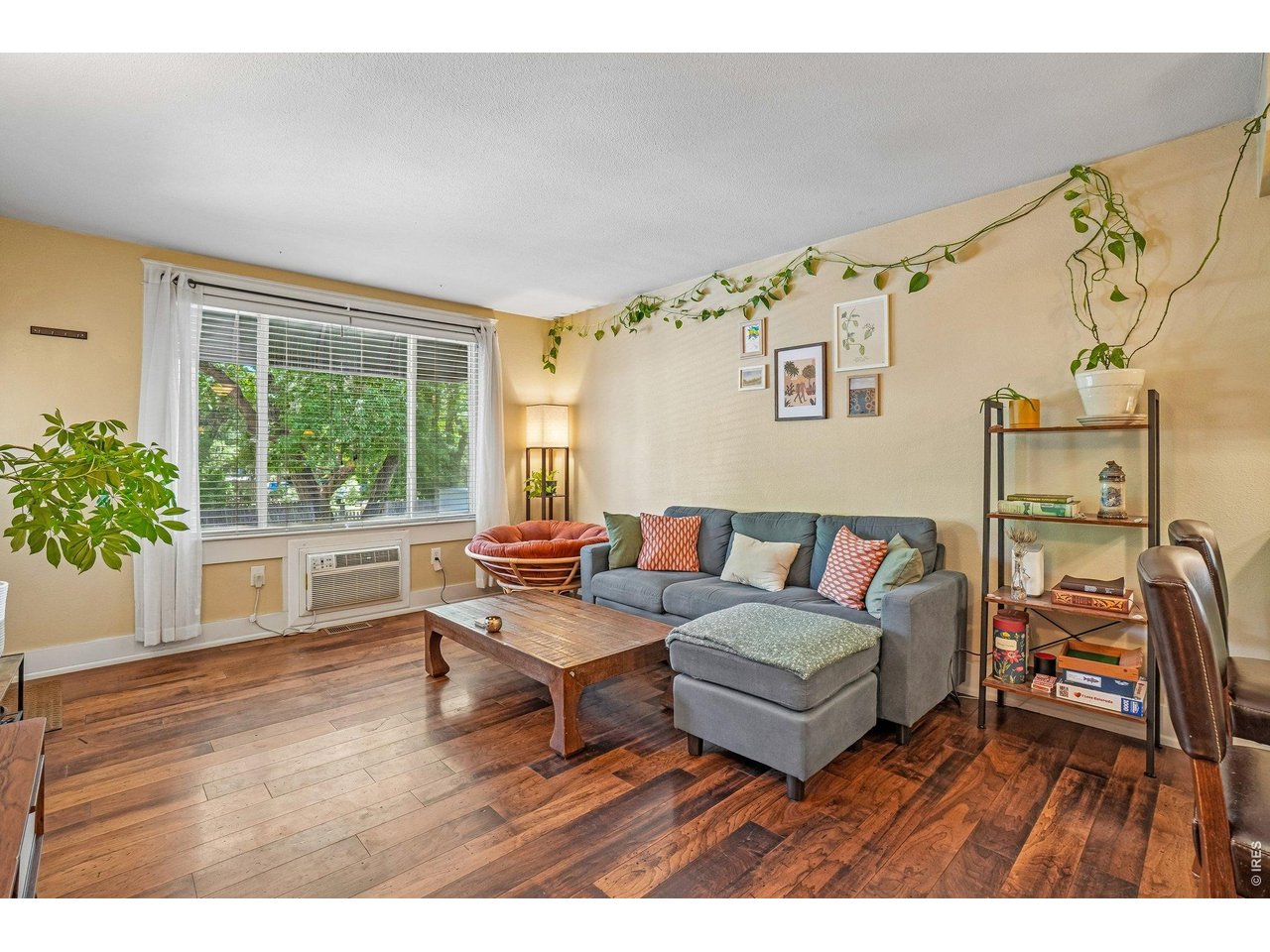 Large Living Room